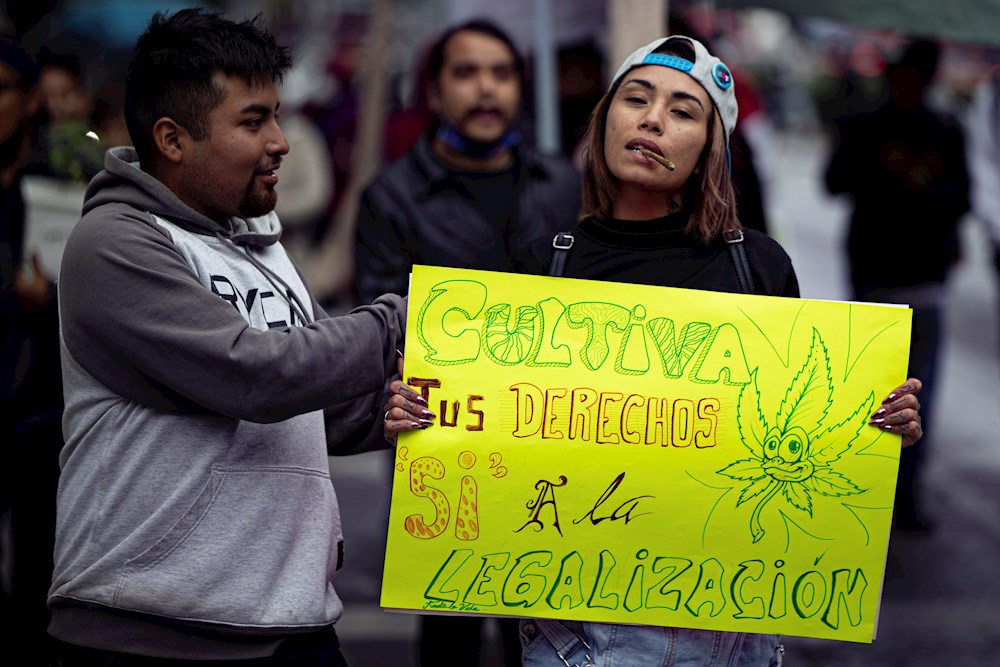 México despenaliza el consumo lúdico de marihuana pero no su comercialización