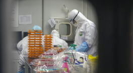 El origen del coronavirus en un laboratorio de Wuhan: cómo la teoría “conspiratoria” ha pasado a ser una hipótesis