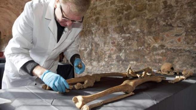 La bacteria que causó la peste negra es encontrada en un esqueleto de más de 5.000 años de antigüedad