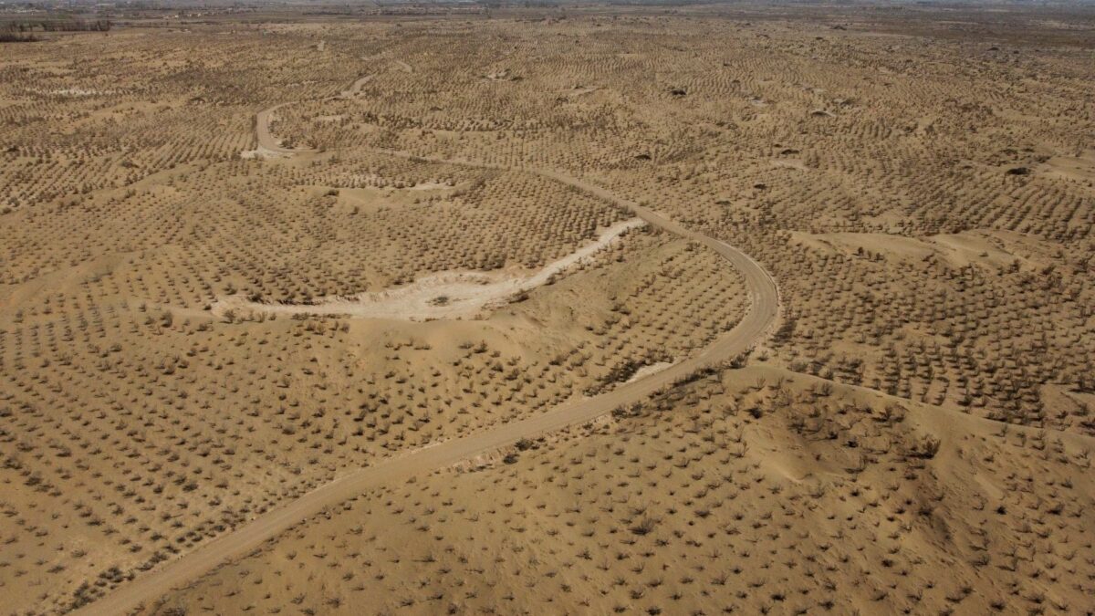 Diez buenas noticias sobre desertización
