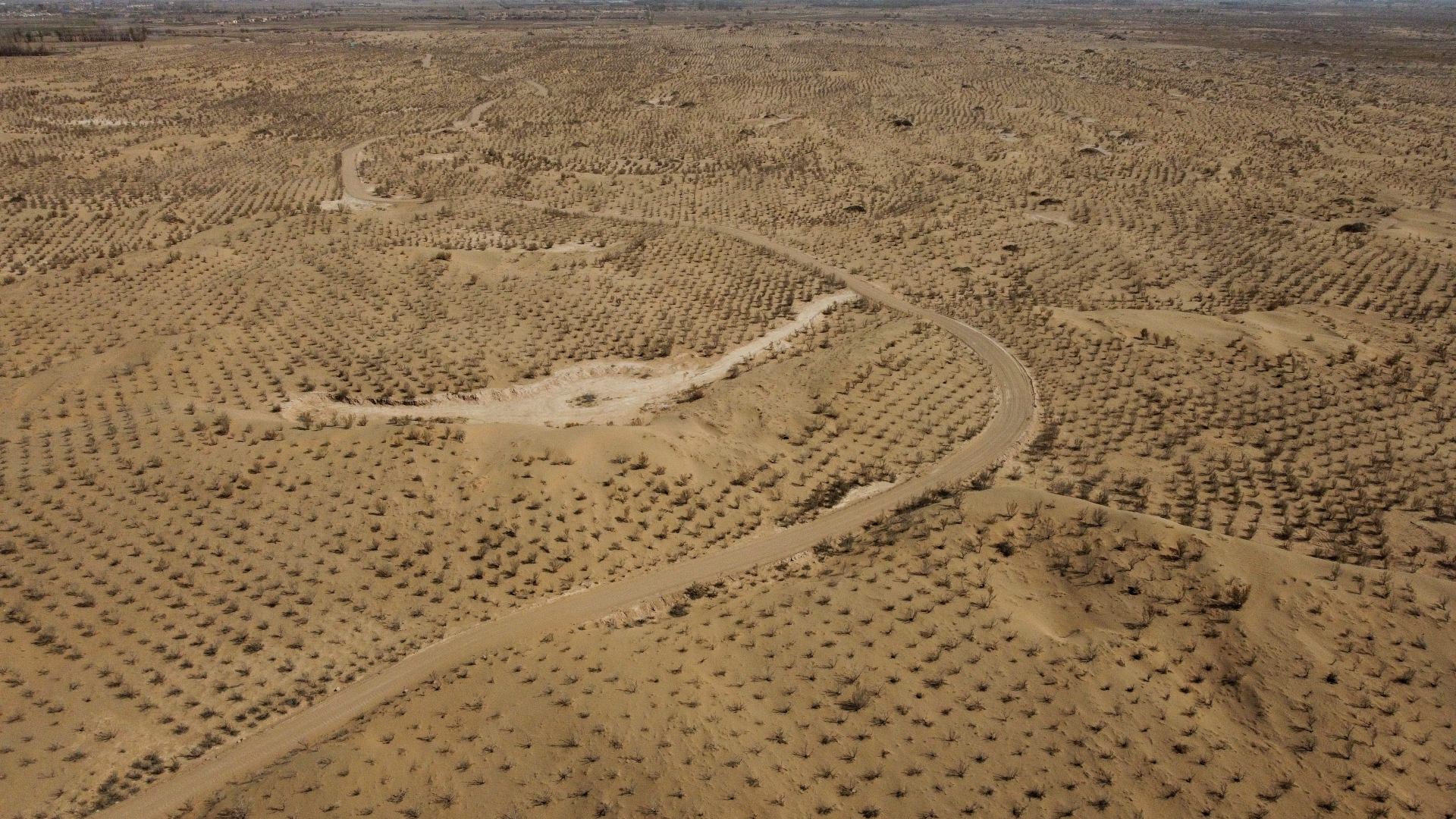 Diez buenas noticias sobre desertización