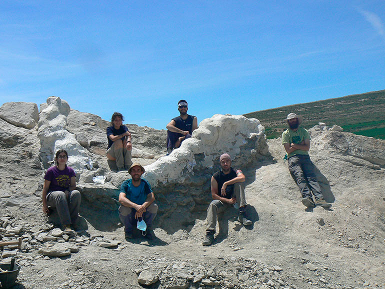 Hallada en Teruel una columna vertebral de un dinosaurio herbívoro gigante