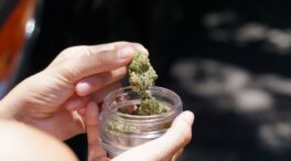 México despenaliza el consumo lúdico de marihuana, pero no avala su comercialización