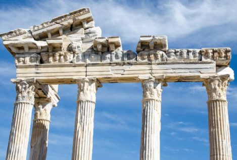 Por qué me voy de la Universidad