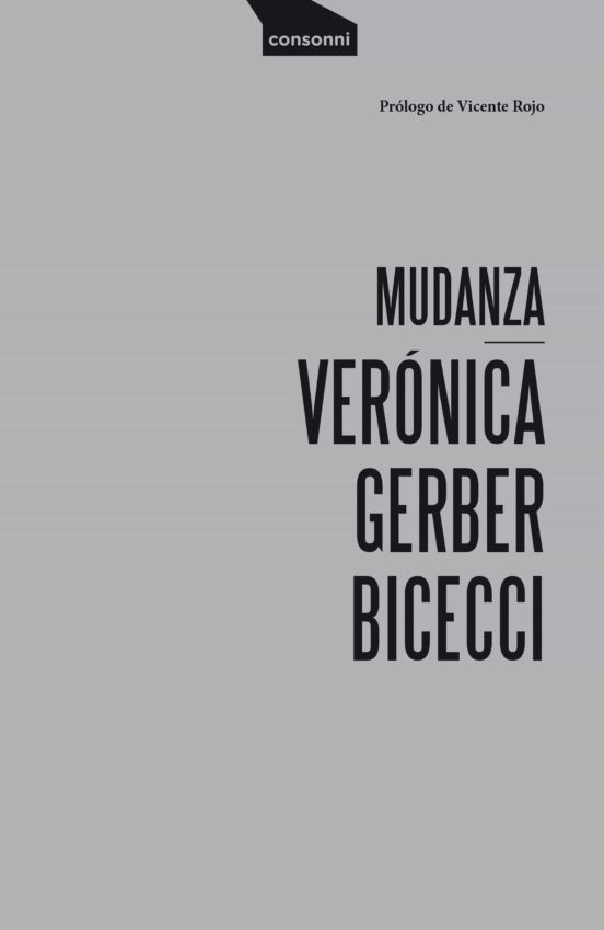 Verónica Gerber: «Me llama la atención que en las estéticas del siglo XXI seguimos repitiendo las del XX» 5
