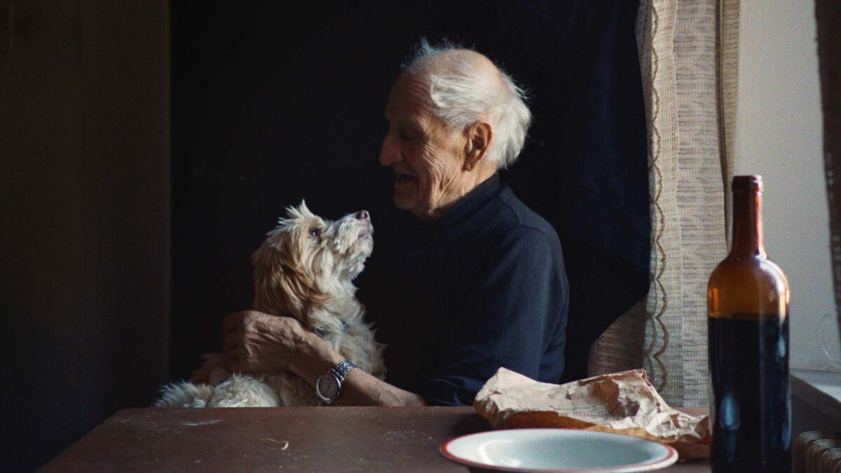 Un puñado de ancianos italianos y sus perros guardan el secreto del manjar más preciado del mundo