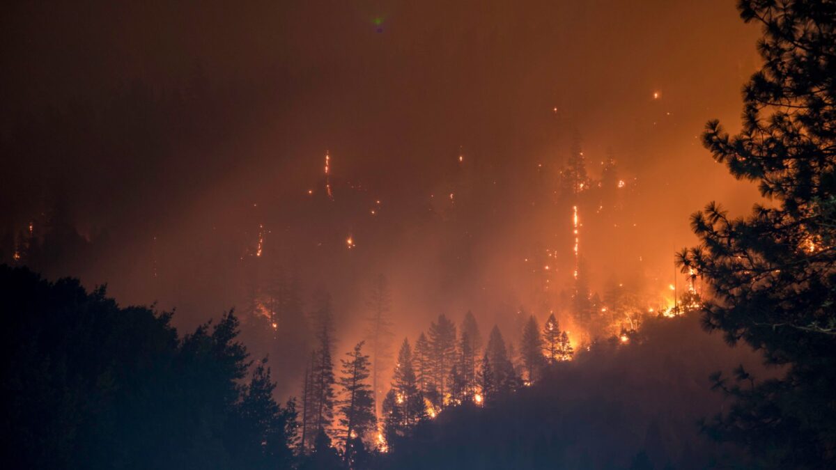 ¿Por qué ahora hay más incendios y son más peligrosos?