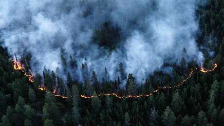 Los incendios forestales en Rusia cubren ya más de un millón de hectáreas