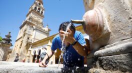 La ola de calor pone en alerta a cinco comunidades