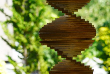 La herencia y el entorno