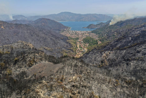 Los incendios de Turquía han calcinado 5.000 hectáreas de cultivos en 12 días