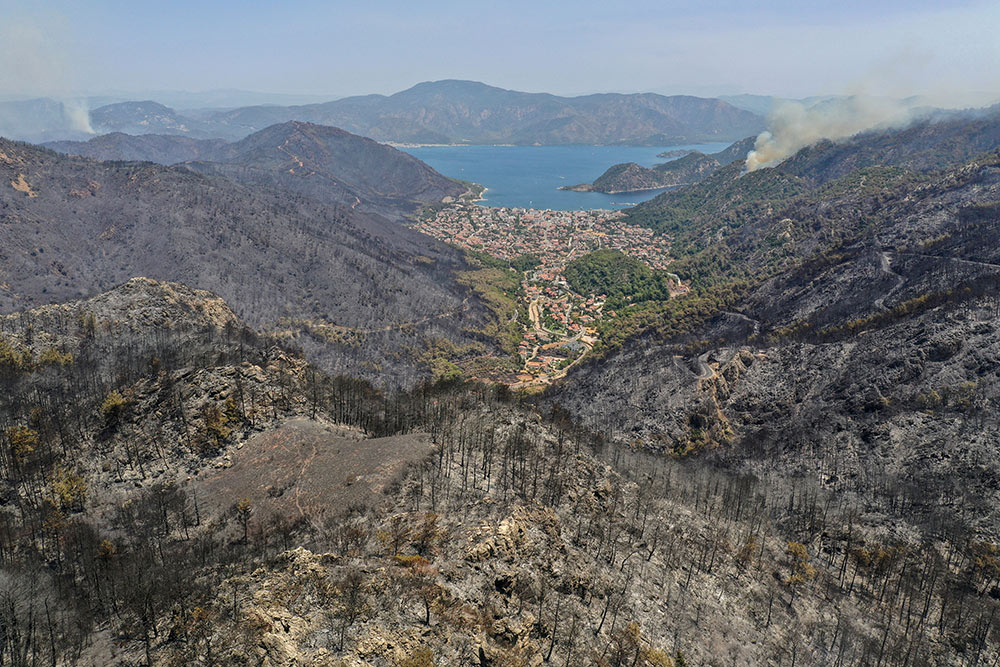 Los incendios de Turquía han calcinado 5.000 hectáreas de cultivos en 12 días