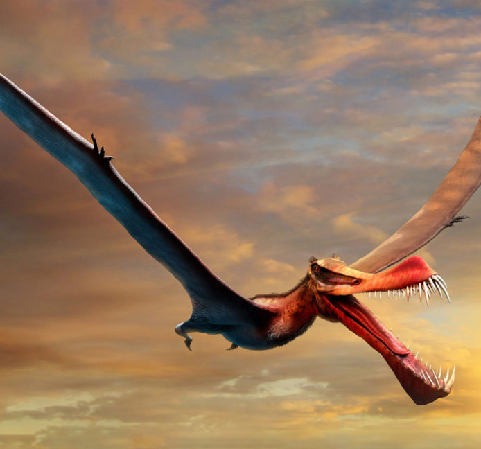 Descubren un dinosaurio gigante volador, descrito como un «temible dragón»