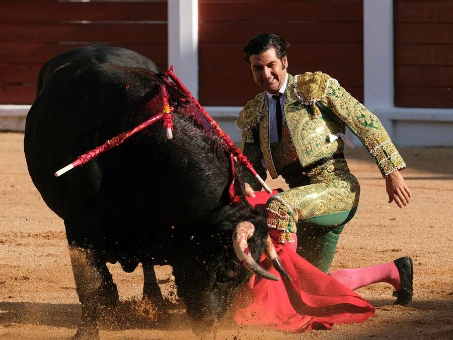 Fin a las corridas en Gijón tras la polémica con el nombre de dos toros: Feminista y Nigeriano