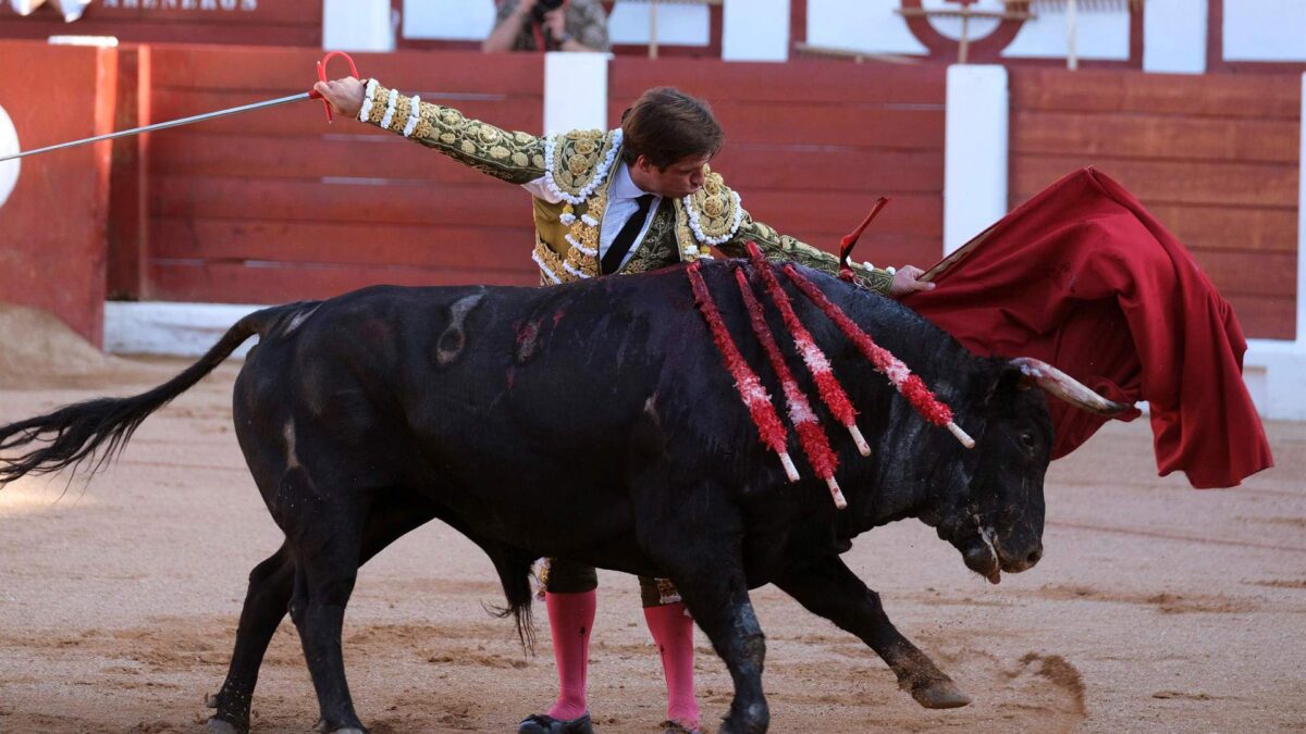 Los toros