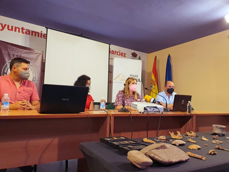 Hallados varios cráneos y mandíbulas humanas de más 3.000 años en Bedmar (Jaén)