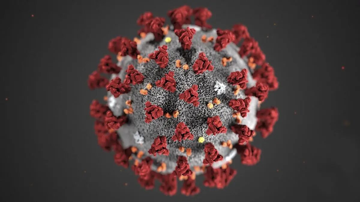 Científicos de Sudáfrica hallan una nueva variante de coronavirus muy mutante