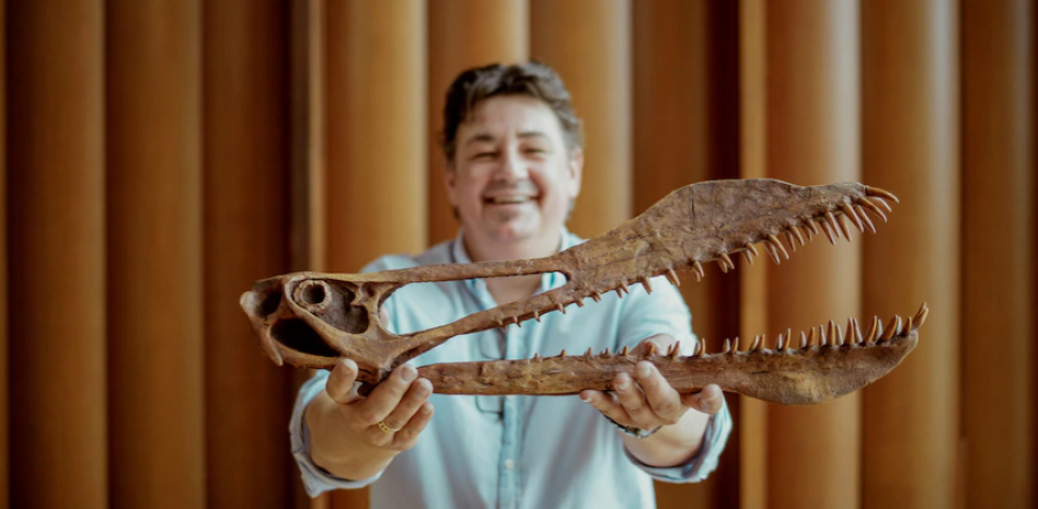 Encuentran un dinosaurio volador en Australia, descrito como un "temible dragón"