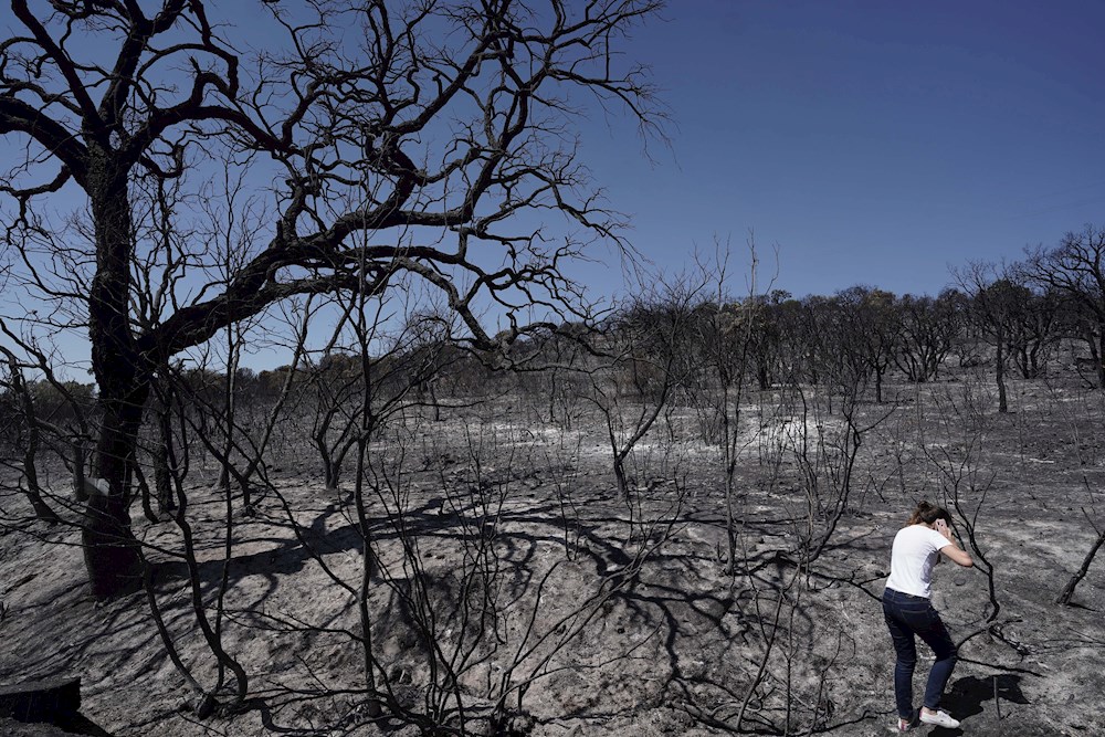 El Gobierno declarará zona catastrófica todas las afectadas por incendios este verano