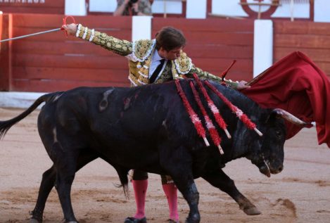 Los toros