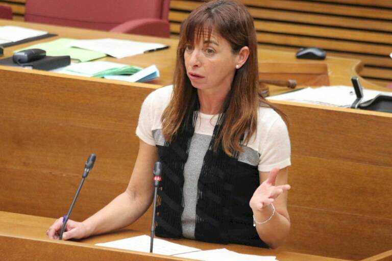 Una diputada de Vox en Las Cortes Valencianas deja el grupo pero mantendrá el escaño y sus derechos parlamentarios