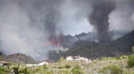 (VÍDEOS) La destrucción del volcán de La Palma: "Toda la vida trabajando para esto"