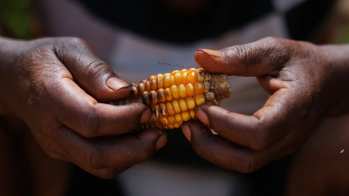 La gran encrucijada: hambre y cambio climático