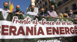 (VÍDEO) El sindicato Solidaridad y Vox se manifiestan contra "el atraco de la luz"