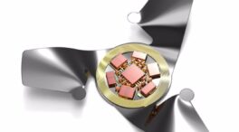 (VÍDEO) Microchips alados, la estructura voladora más pequeña creada por el ser humano