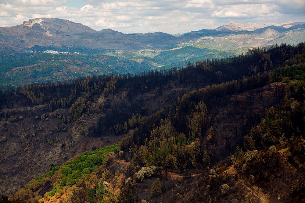 La Fiscalía presenta una denuncia por el incendio de Sierra Bermeja