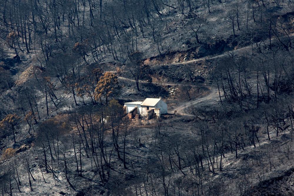 Ordenado el desalojo de dos municipios por el incendio de Málaga
