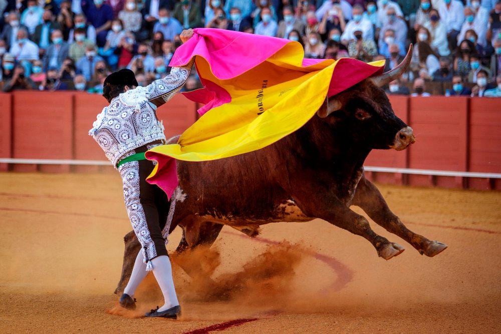 Cultura confirma que los toros no estarán incluidos en el bono cultural