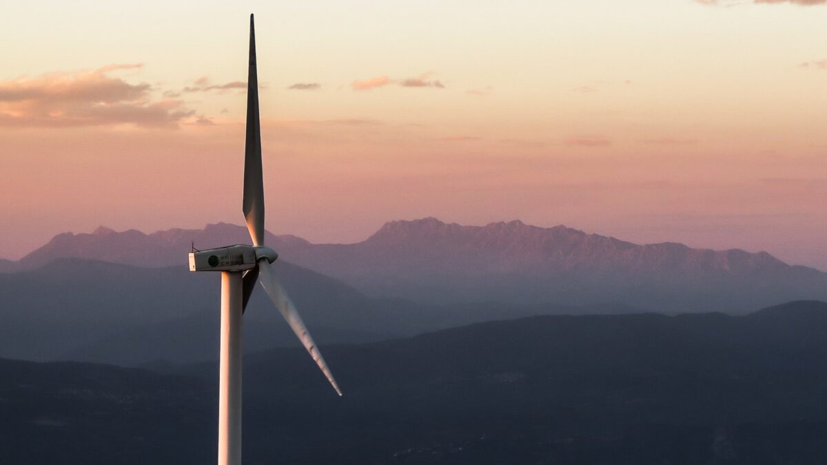 Iberdrola y Endesa plantan a Ribera y no acuden a la subasta de renovables