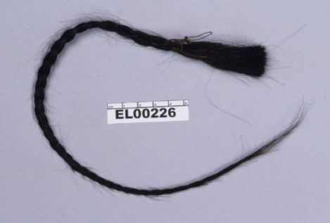 El ADN del pelo de Toro Sentado confirma su parentesco con familiares vivos