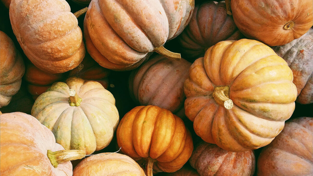 Calabazas más allá de Halloween: 10 productos para todo el año