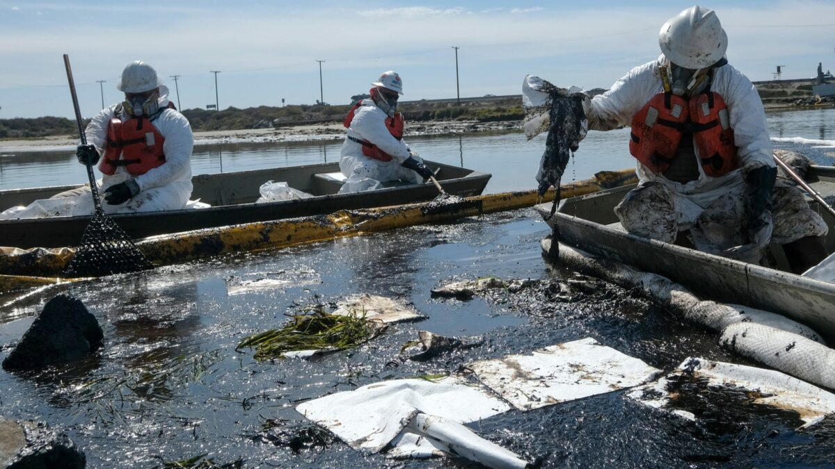 (VÍDEO) Vertido masivo de petróleo en California: la zona podría tardar años en recuperarse