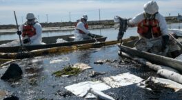 (VÍDEO) Vertido masivo de petróleo en California: la zona podría tardar años en recuperarse