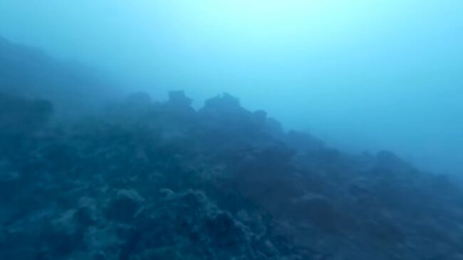 (VÍDEO) Consiguen las primeras imágenes submarinas del delta lávico de La Palma