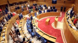 El Parlamento gallego llega a un acuerdo unánime para garantizar el derecho al aborto en sus centros públicos