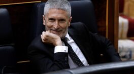 Marlaska cree que "el trabajo serio" del Gobierno y del PSOE permitirá tener mejores resultados que los que auguran las encuestas