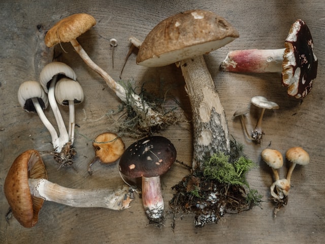 Un cuento (gastronómico) de otoño