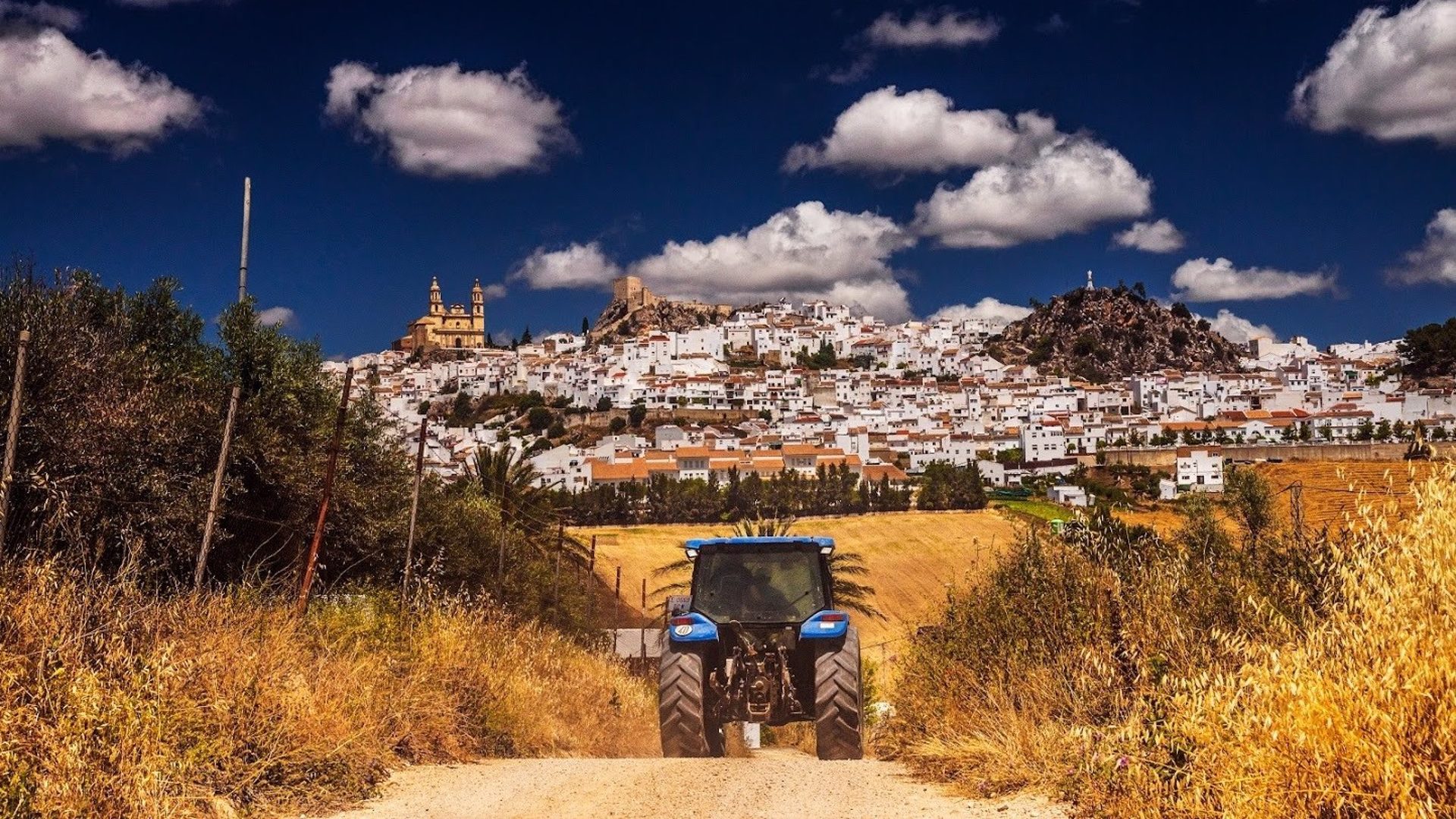 El Gobierno destinará 345 millones hasta 2023 para fomentar la competitividad del sector agrario