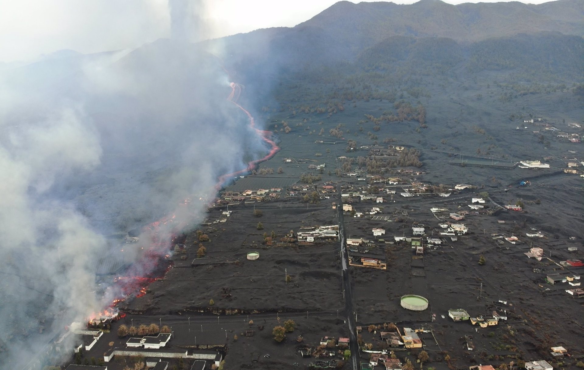 La nueva colada de La Palma destruye el campo de placas solares y numerosas viviendas