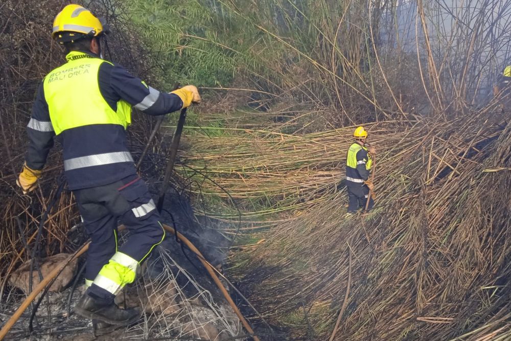 Declarado un incendio forestal en Pollença (Mallorca)