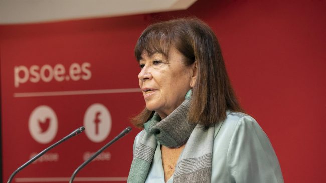 El PSOE denuncia «interpretaciones completamente falsas» en la convocatoria policial de las protestas contra la ley mordaza