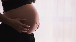 Primer ‘viaje’ al interior de un embrión en una de las etapas centrales de su desarrollo