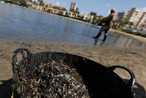 Una empresa de Cartagena, primera afectada por las exigencias de Aldi contra la contaminación del Mar Menor