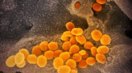 La OMS nombra omicron la nueva variante y advierte de un posible «mayor riesgo de reinfección»