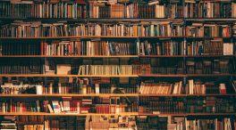 Contra la filosofía
