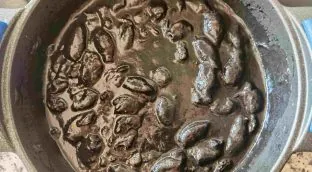 Receta de chipirones en su tinta: cómo preparar este clásico de la cocina vasca